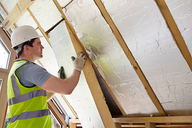 Best Insulation Maintenance and Repair in Country Clu, MO